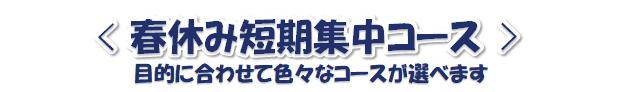 短期水泳教室　短期集中コース